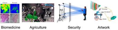 Editorial: Application of Terahertz Frequency in Substance Detection and Recognition